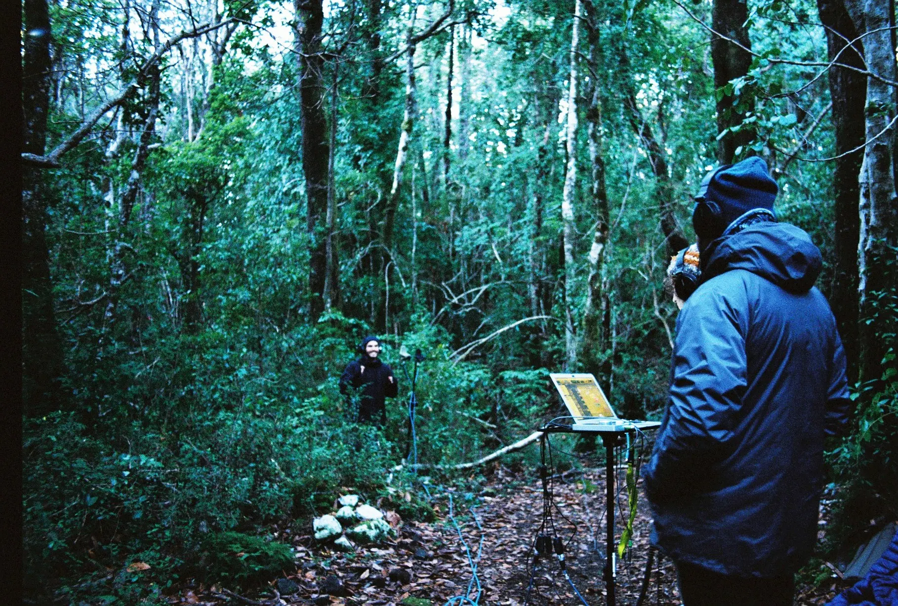 From the field 2